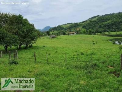 Chácara para Venda, em São Pedro do Sul, bairro Rural