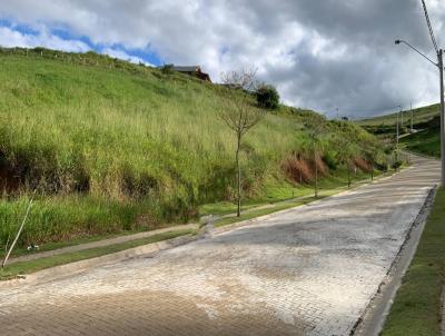 imagem-miniatura