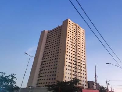 imagem-miniatura