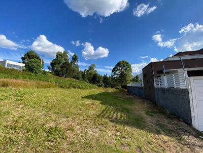 Terreno para Venda, em Erechim, bairro Três Vendas