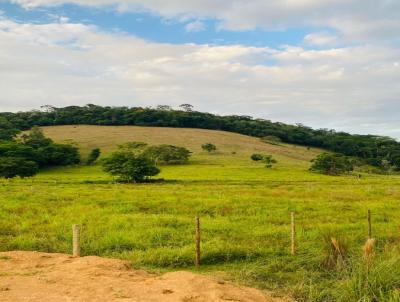 Stio / Chcara para Venda, em Muria, bairro Vila Vardiero - Distrito de Baro do Monte Alto
