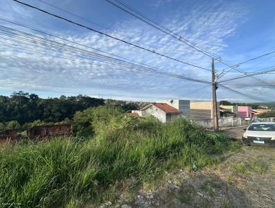 Terreno para Venda, em Jaguariava, bairro BELVEDERE