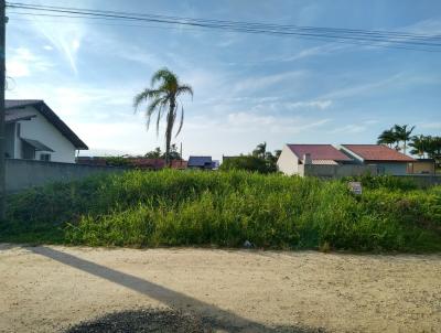 Terreno para Venda, em Barra Velha, bairro QUINTA DOS AORIANOS