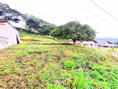 Terreno Urbano para Venda, em Pomerode, bairro Alto Palmeiras