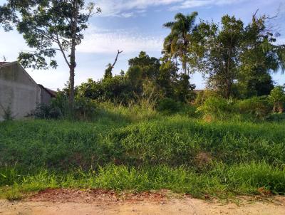 Terreno para Venda, em Barra Velha, bairro QUINTA DOS AORIANOS