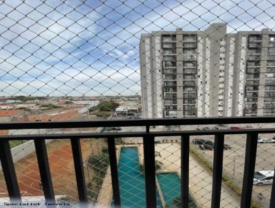 imagem-miniatura