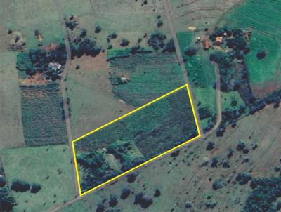 rea para Venda, em Rochedo, bairro Zona Rural