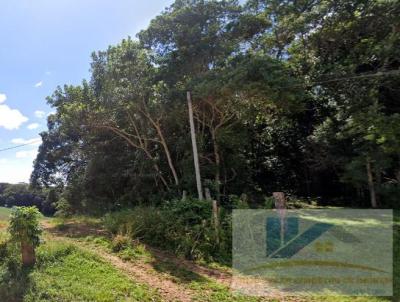 Terreno para Venda, em So Jos dos Pinhais, bairro Campestre da Faxina