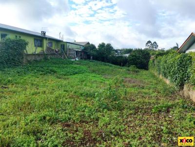Terreno para Venda, em , bairro Vila Germnia