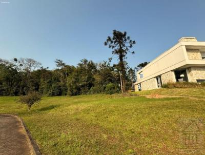 Terreno para Venda, em Santa Cruz do Sul, bairro Country