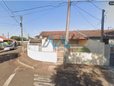 imagem-miniatura