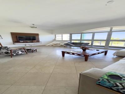 imagem-miniatura