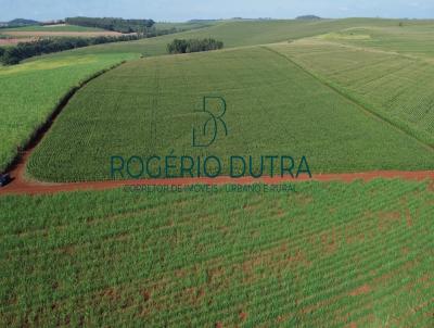 Stio para Venda, em Bandeirantes, bairro ZONA RURAL