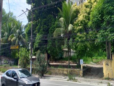 rea para Venda, em So Gonalo, bairro Pita