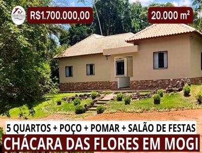 imagem-miniatura