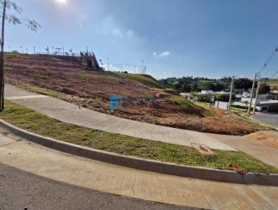 imagem-miniatura