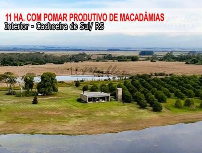 Fazenda para Venda, em Cachoeira do Sul, bairro Interior