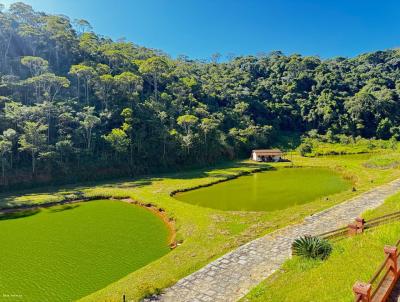 Fazenda para Venda, em , bairro Ferreiros, 4 dormitrios