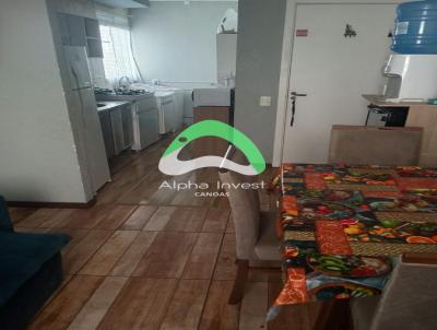 imagem-miniatura