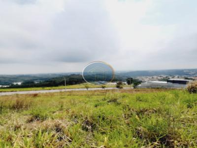 imagem-miniatura