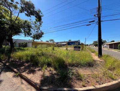 Terreno para Venda, em Vilhena, bairro Setor 01 - Centro e So Jos