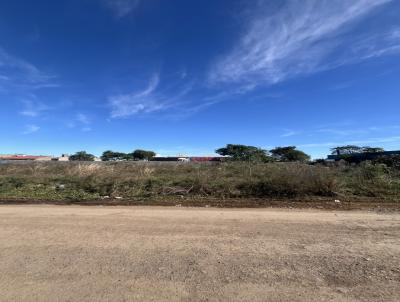 Lote para Venda, em Uruguaiana, bairro Jardim do Salso