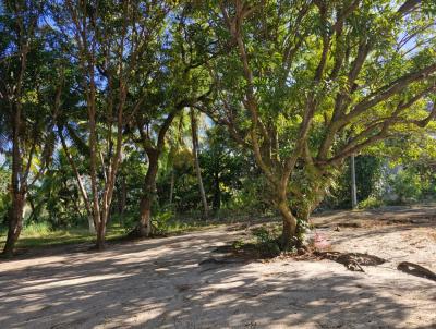 Terreno para Venda, em Camaari, bairro Guarajuba