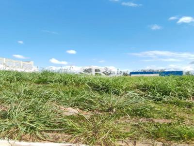 Terreno Comercial para Venda, em Indaiatuba, bairro Cidade Nova