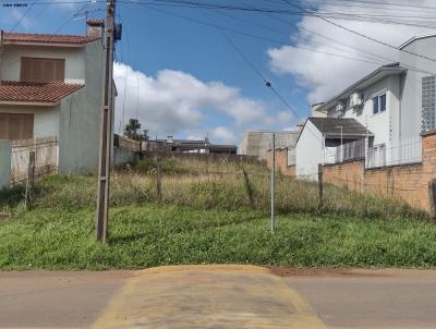 Terreno para Venda, em Vacaria, bairro Planalto