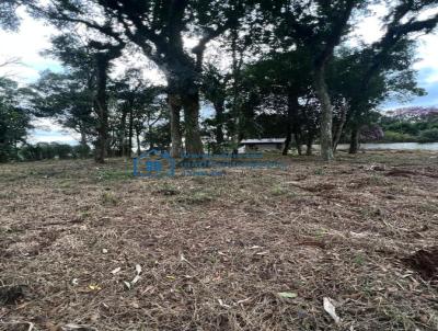 Terreno para Venda, em Chapec, bairro Campestre