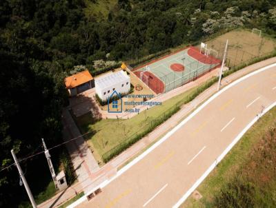 imagem-miniatura