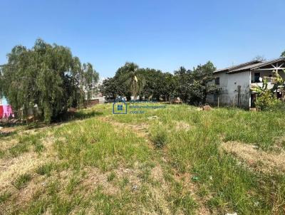 Terreno para Venda, em Chapec, bairro Esplanada