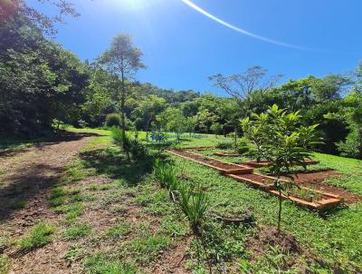 Chcara para Venda, em Chapec, bairro Sede Figueira