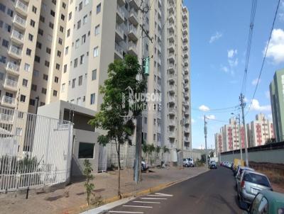 imagem-miniatura