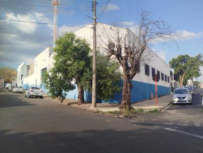 Galpo para Venda, em So Carlos, bairro Vila Izabel