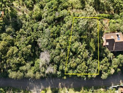 Terreno para Venda, em Canela, bairro Reserva da Serra