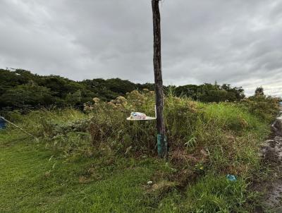 Terreno para Venda, em Itanham, bairro Tupy