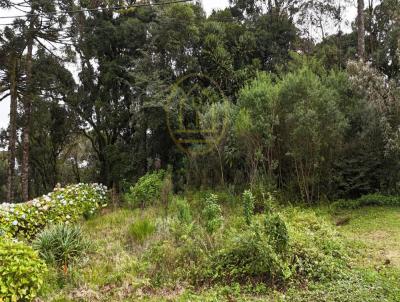 Terreno para Venda, em Canela, bairro Quinta da Serra