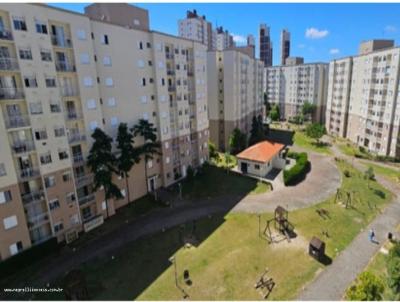 imagem-miniatura