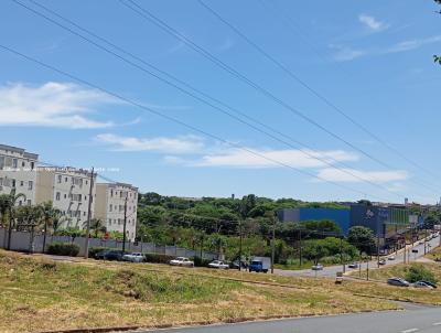 Apartamento para Venda, em , bairro Ana Célia, 2 dormitórios, 1 banheiro, 1 vaga