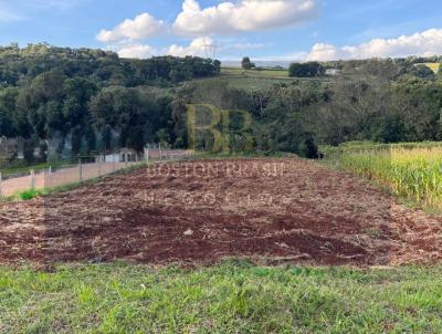 Terreno para Venda, em Cascavel, bairro Rio do Salto