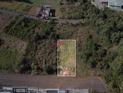 Terreno para Venda, em Caador, bairro Paraiso