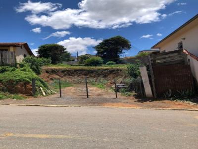Lote para Venda, em Conceio dos Ouros, bairro Centro