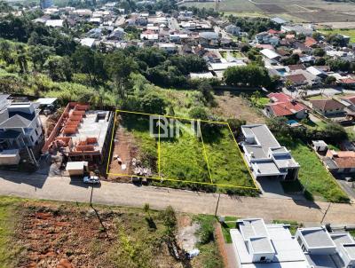 imagem-miniatura