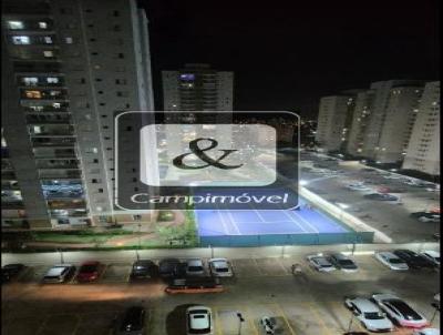 imagem-miniatura