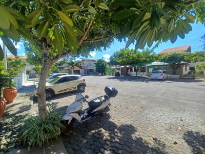 imagem-miniatura