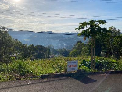 Terreno para Venda, em Quilombo, bairro Centro