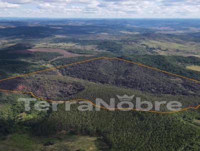 Apartamento para Venda, em So Joo Evangelista, bairro acropole