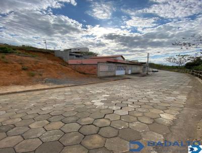 imagem-miniatura