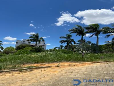 imagem-miniatura